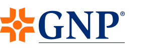 GNP